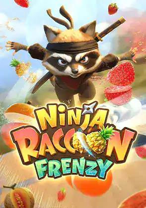 Ninja Raccoon Frenzy